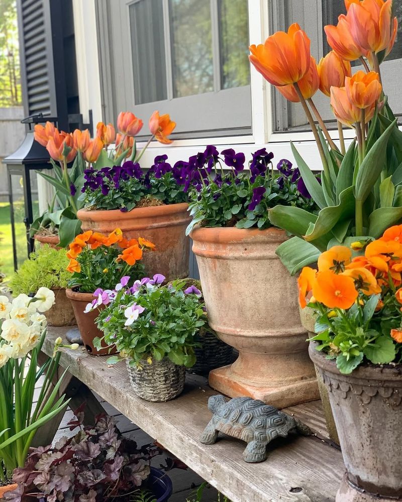 Container Gardening Offers Maximum Flexibility