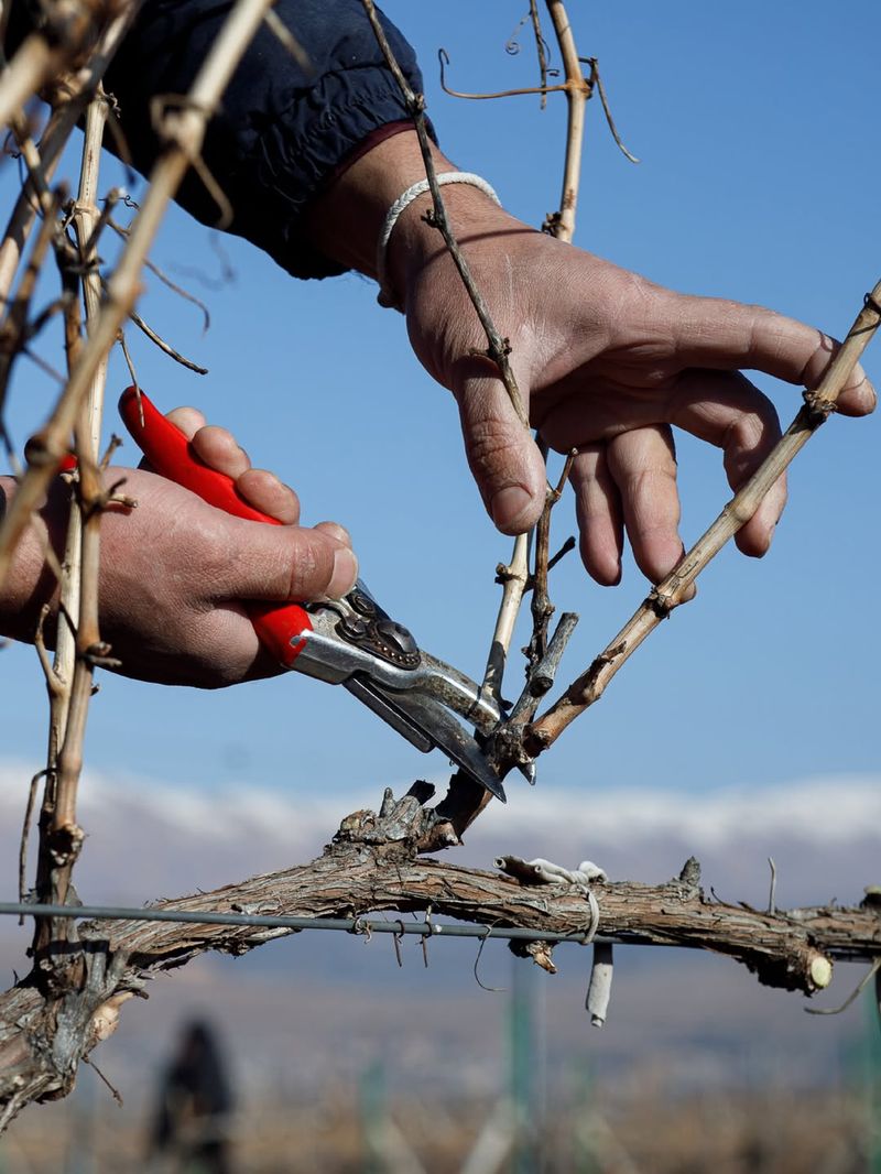 Pruning At The Wrong Time