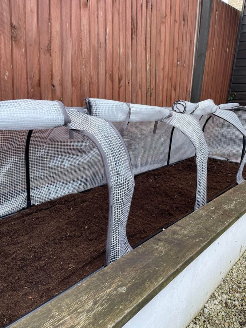 Reduced Disease Pressure From Fungal Problems