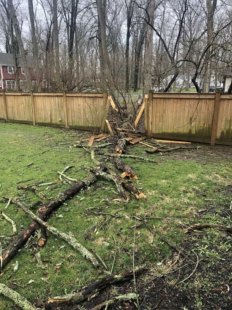 Small Claims Court Offers an Option for Minor Damages