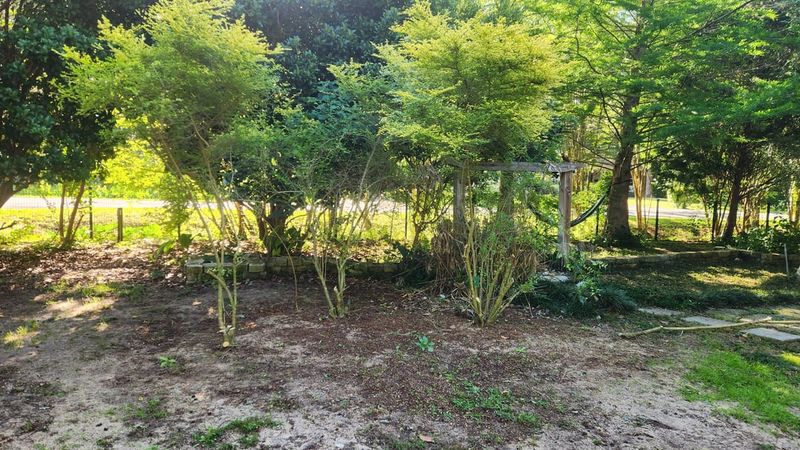 You Must Not Harm The Plant