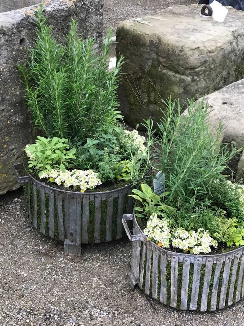 Containers Make Co-Growing Easier In Small Spaces