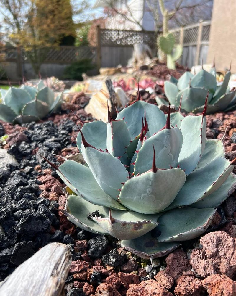 Prepare For Unexpected Winter Cold Snaps