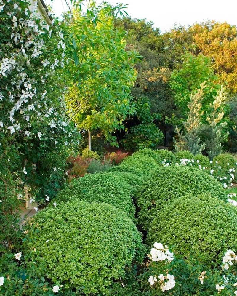 Keep Natural Shape Instead Of Forcing Form