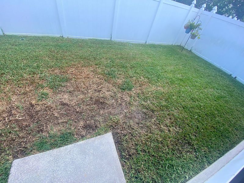 Set Expectations For Spring Growth