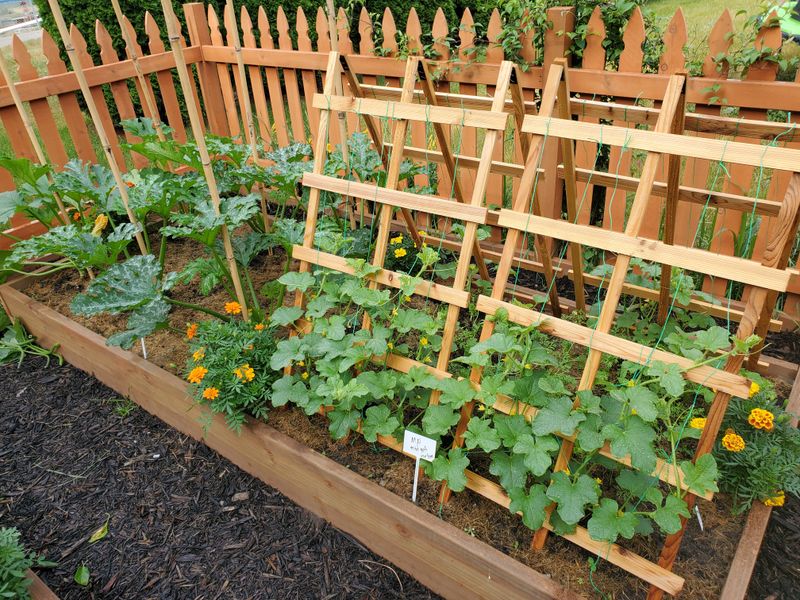 Learn As You Go And Adjust