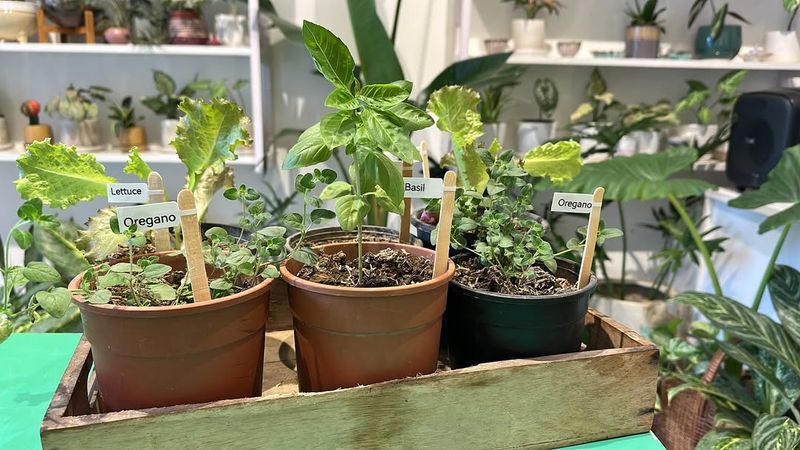 Provide Adequate Air Circulation