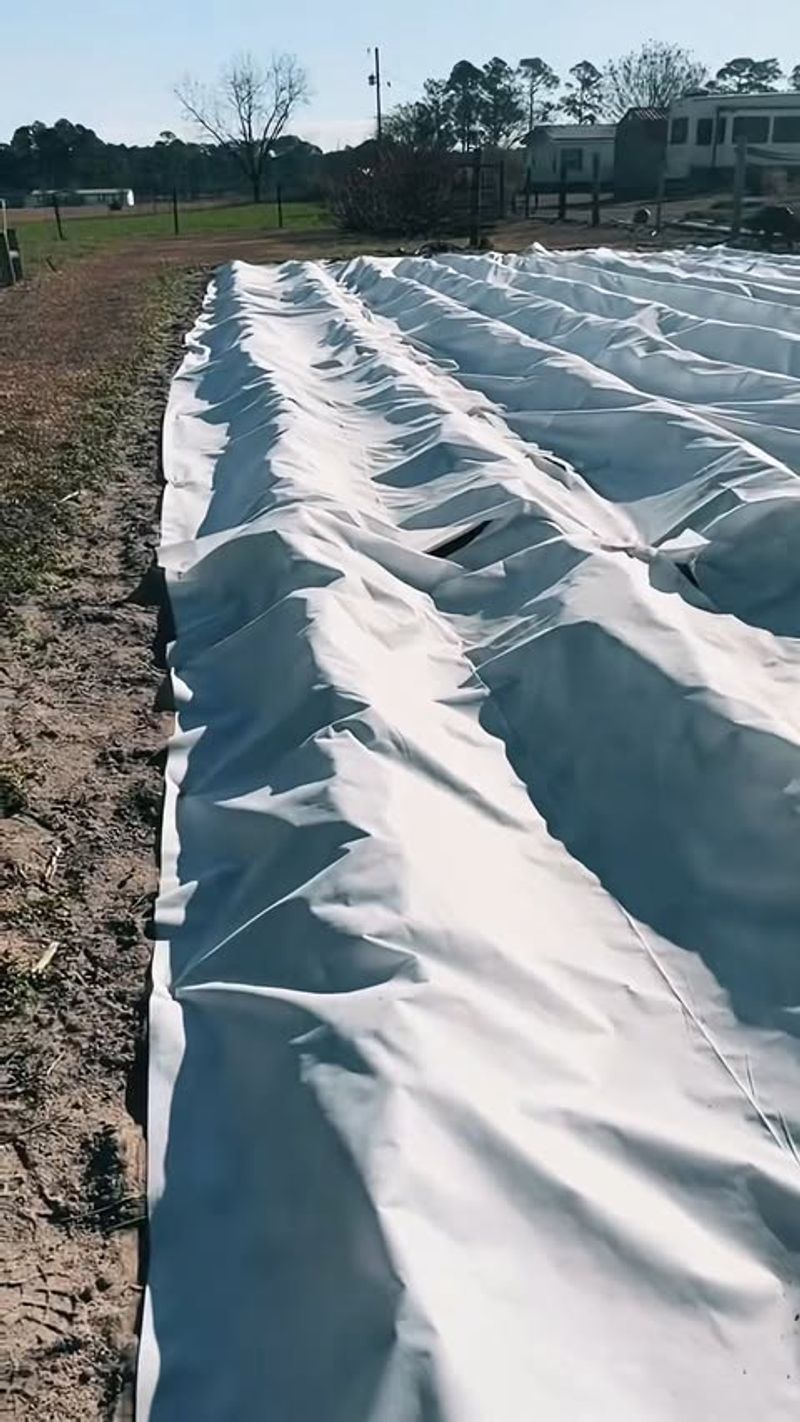 Protecting Tender Growth Without Trapping Moisture