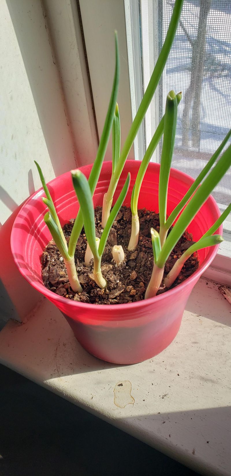 Maintain Moderate Indoor Temperatures