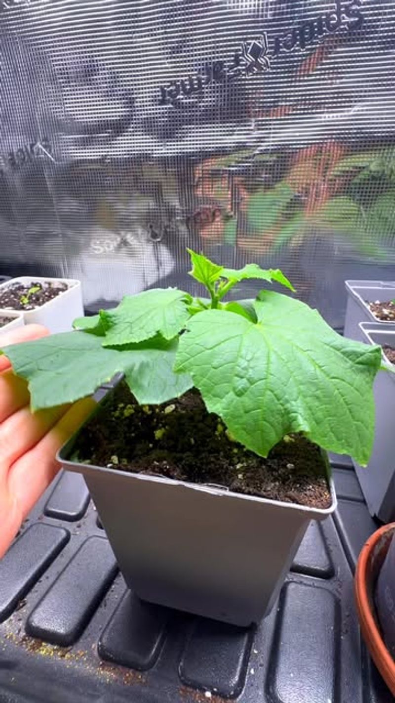 Maintain Warm Temperatures Year-Round