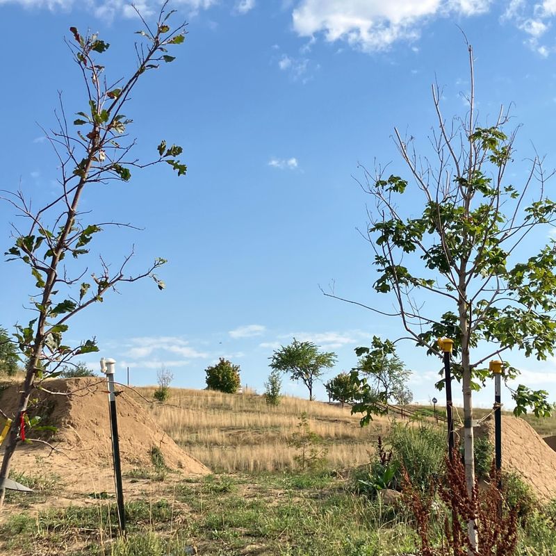 Use Warm, Dry Days When Temperatures Are Above Freezing