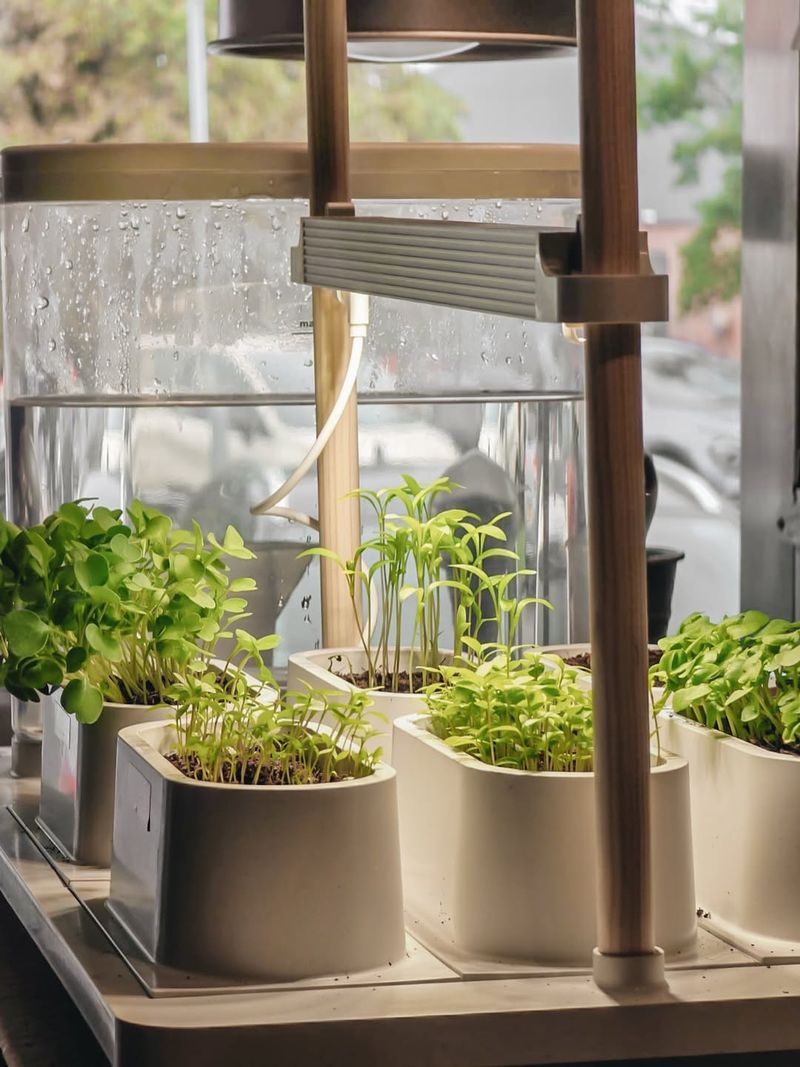 Maintain Proper Temperature and Humidity Levels