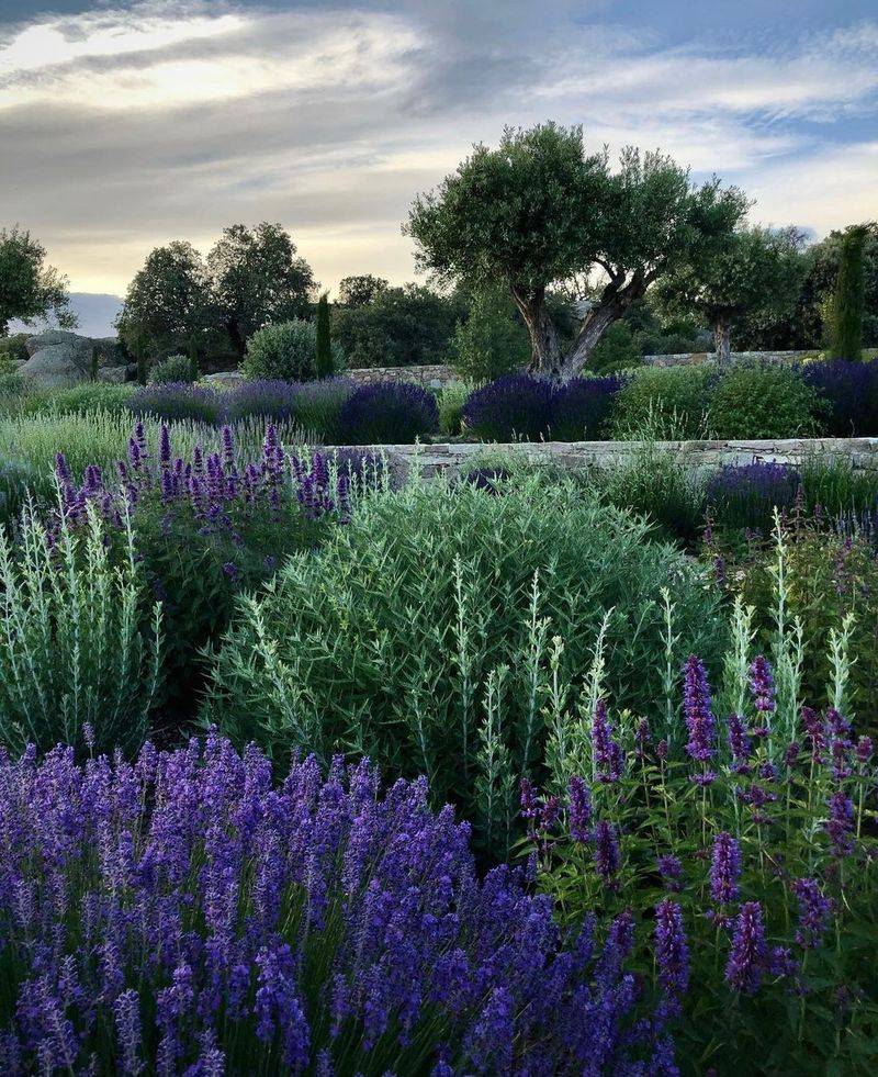 Add Lime To Balance Oregon's Naturally Acidic Soil