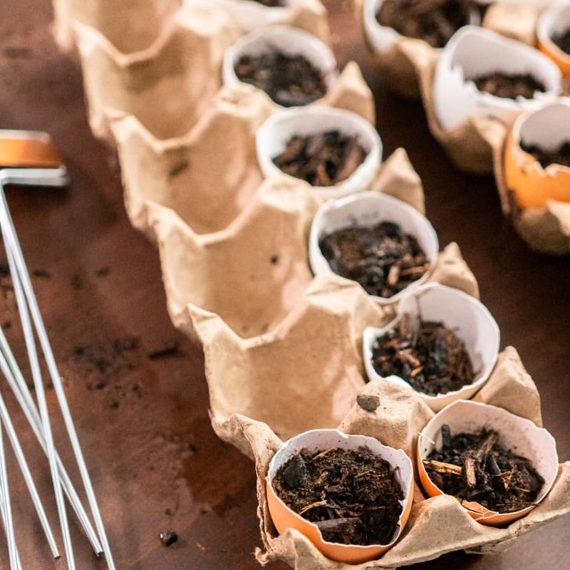 Provide Proper Light And Temperature