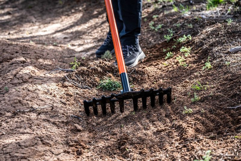Rake And Cultivator
