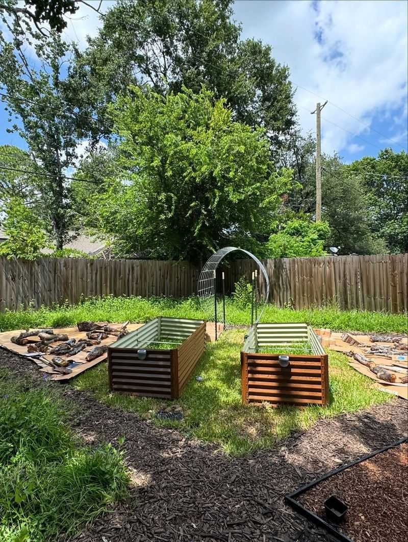 Improving Soil Without Heavy Tilling