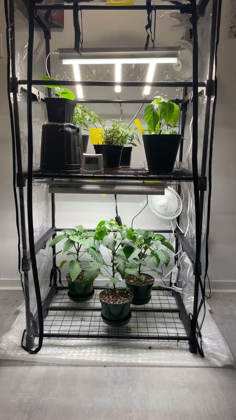 Skipping Air Circulation In Closed Rooms