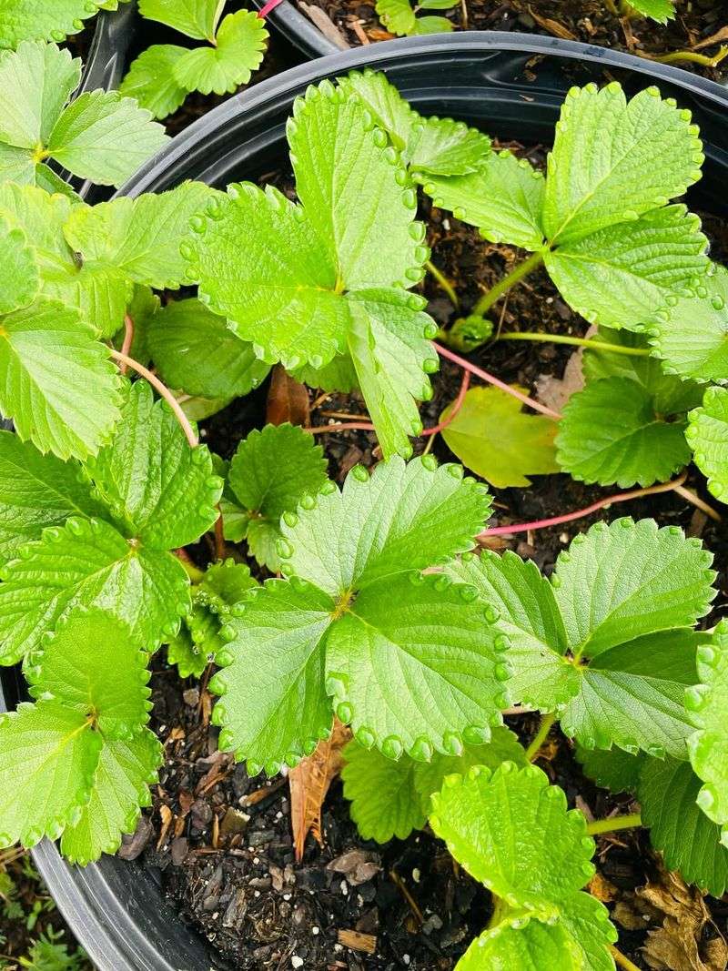 Sun Exposure Differences Across Florida Regions