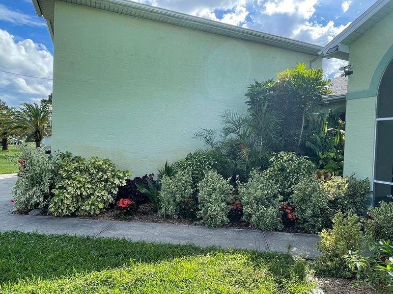 Planting Without Checking Sun Exposure