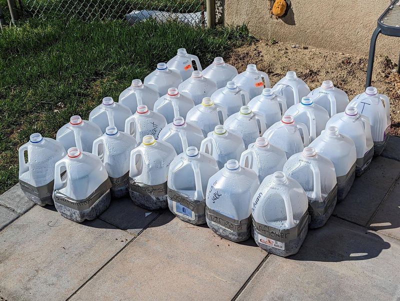 When Seedlings Are Ready For The Garden