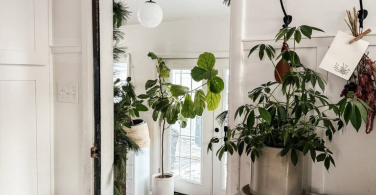 entryway plants decor