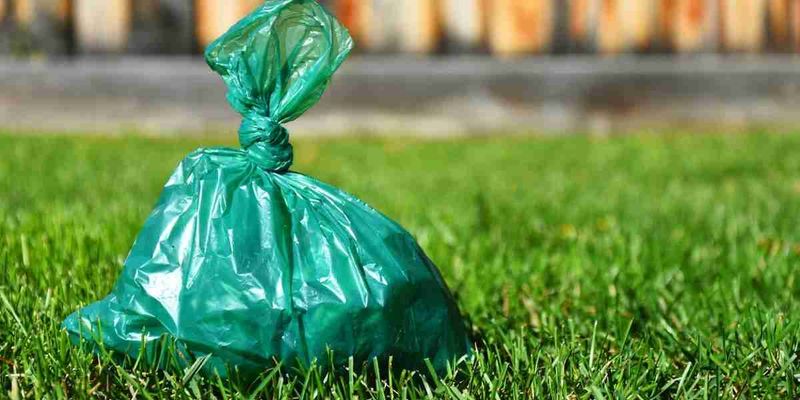 Pet Waste And Litter