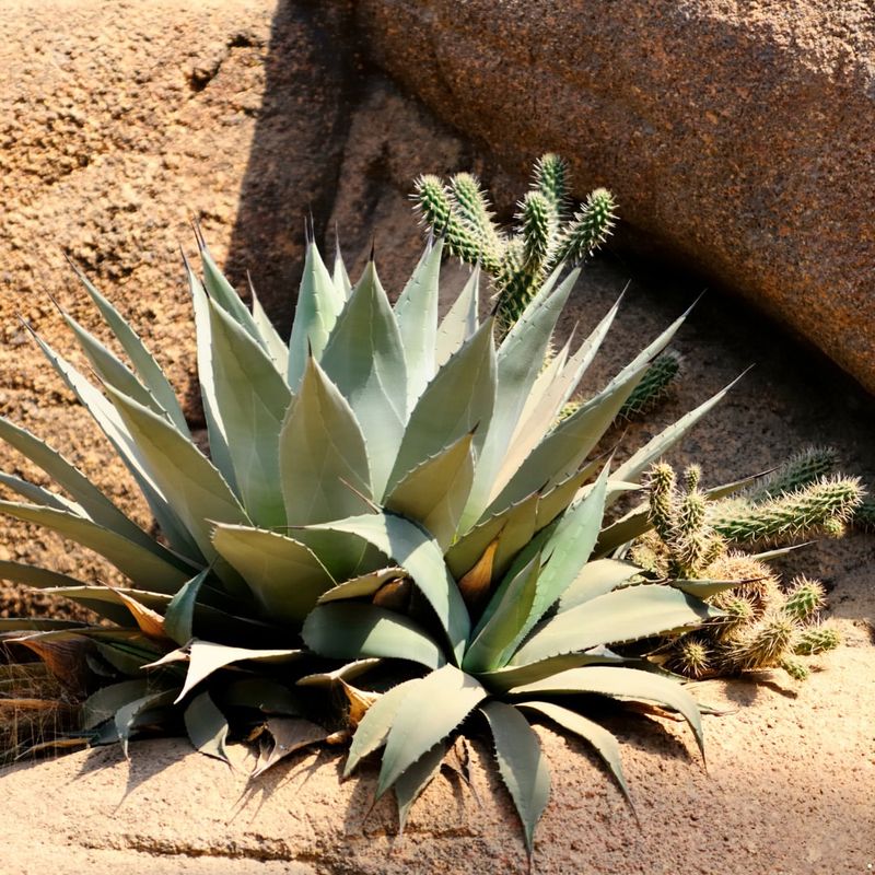 Watering Needs Change With Seasons