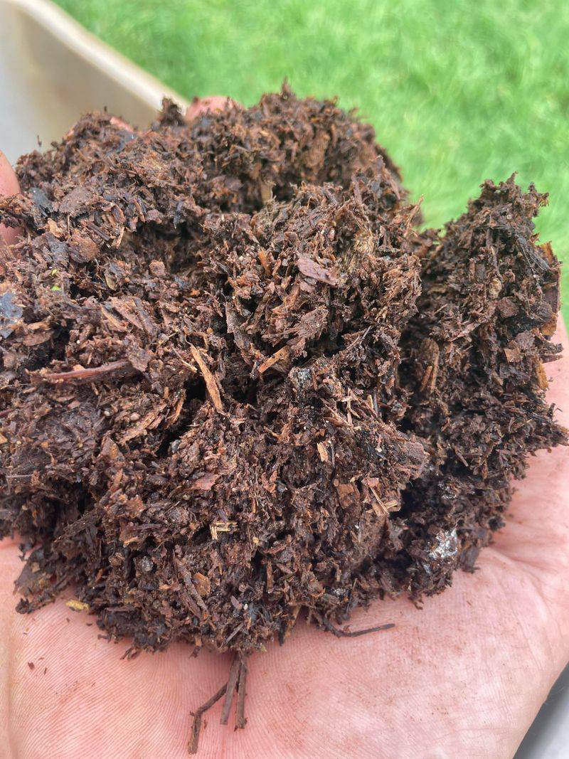 Native Soil Improved With Compost