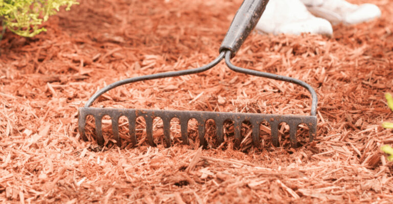 raking mulch
