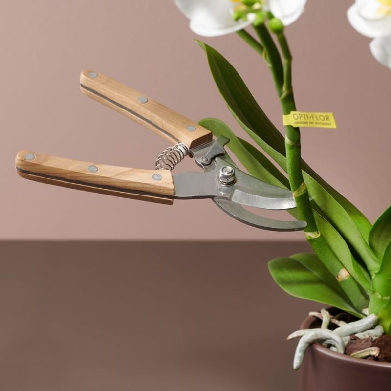 Sterilize Tools Between Plants