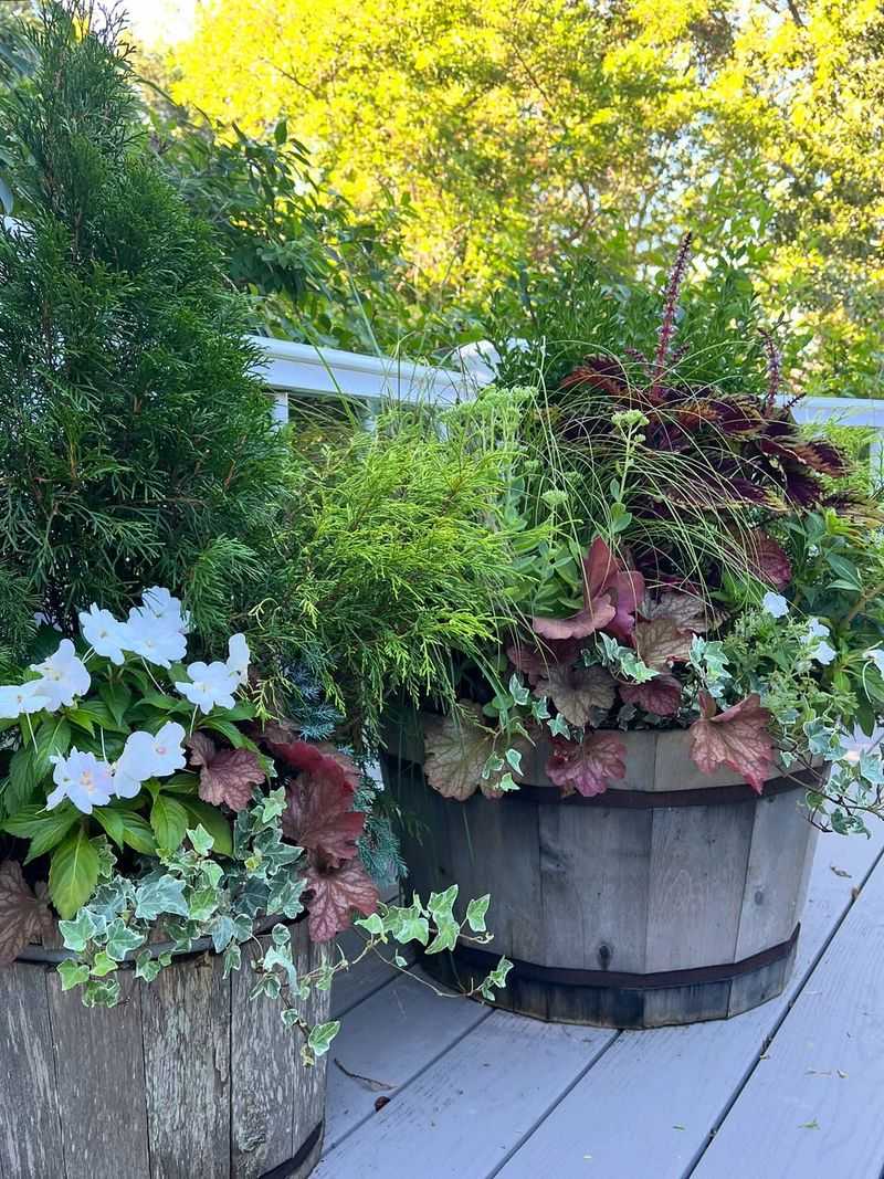 Why Container Gardeners Use It More Than Others