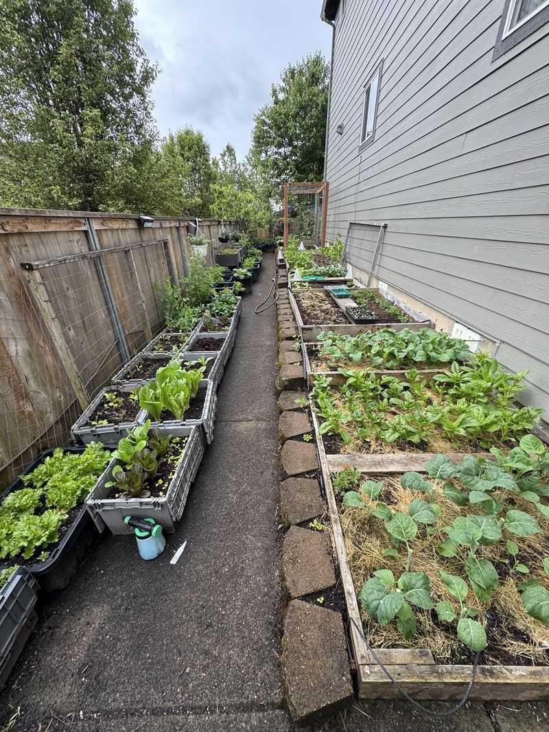 How January Cleanup Improves Airflow And Soil Conditions