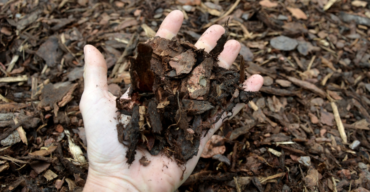 mulch (featured image)