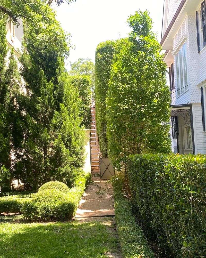 Who Actually Owns The Hedge And Why It Matters