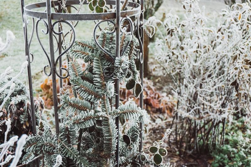 Why Cold Air Is Less Harmful Than Trapped Warmth