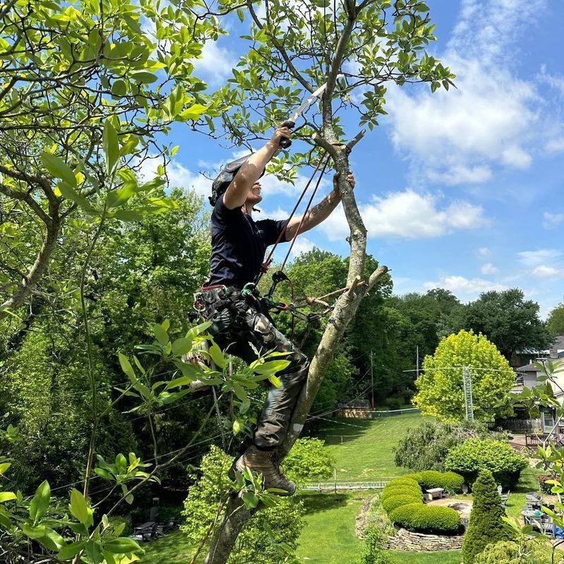 When You Might Need Professional Help