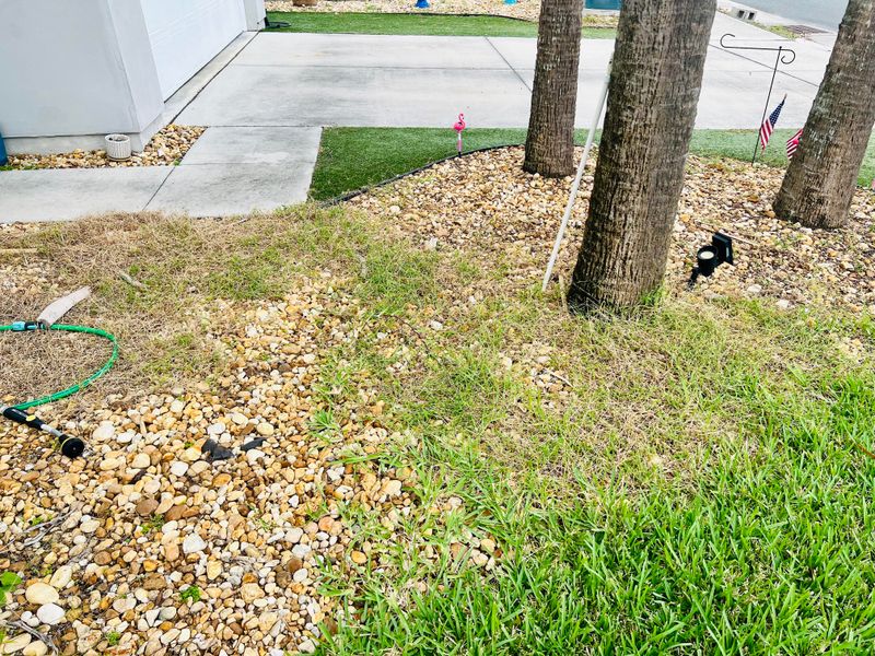 What Happens When Grass Is Left Too Tall