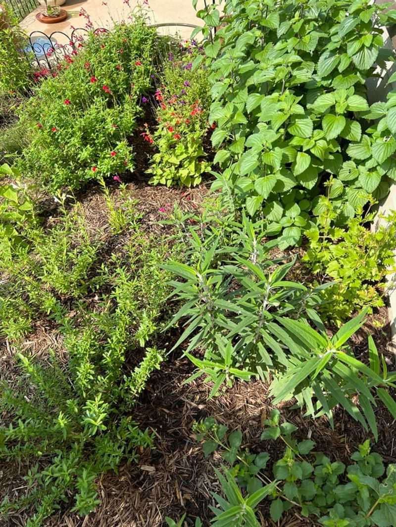 How Cooler January Weather Makes Cutting Back Faster