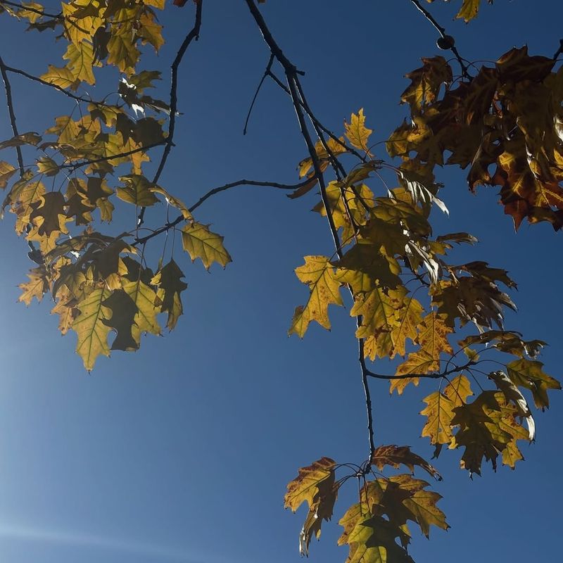 When A Neighbor Can Be Held Responsible