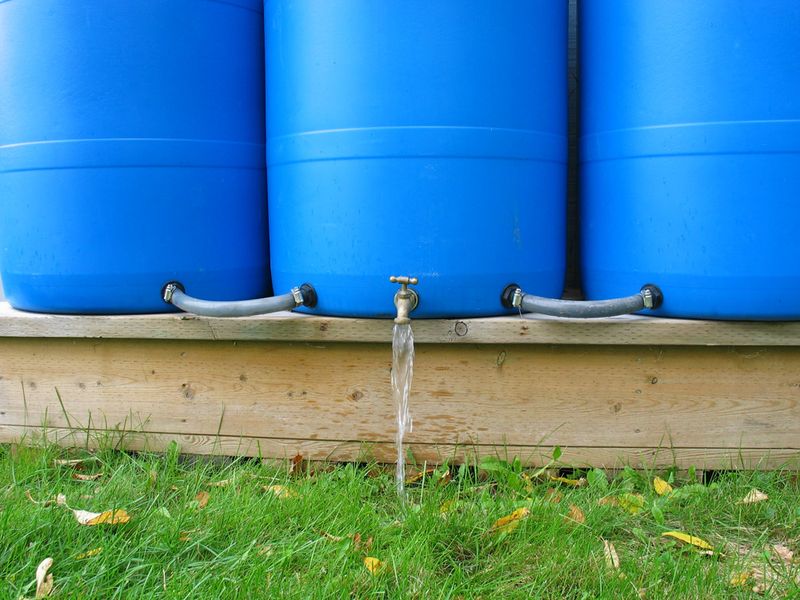 Common Materials and Design Features People Look For in Rain Barrels