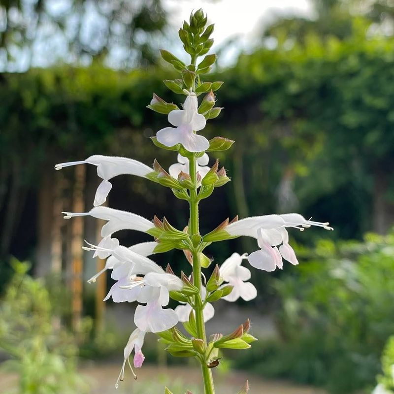 Getting Started With Your First Habitat Zone