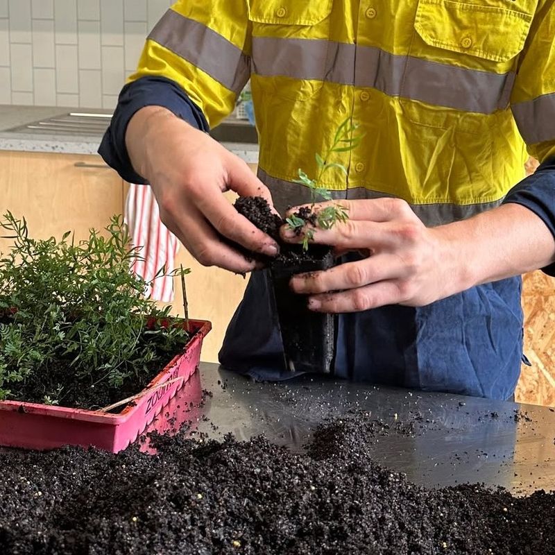 From Potting To Selling How Local Teens Run The Operation