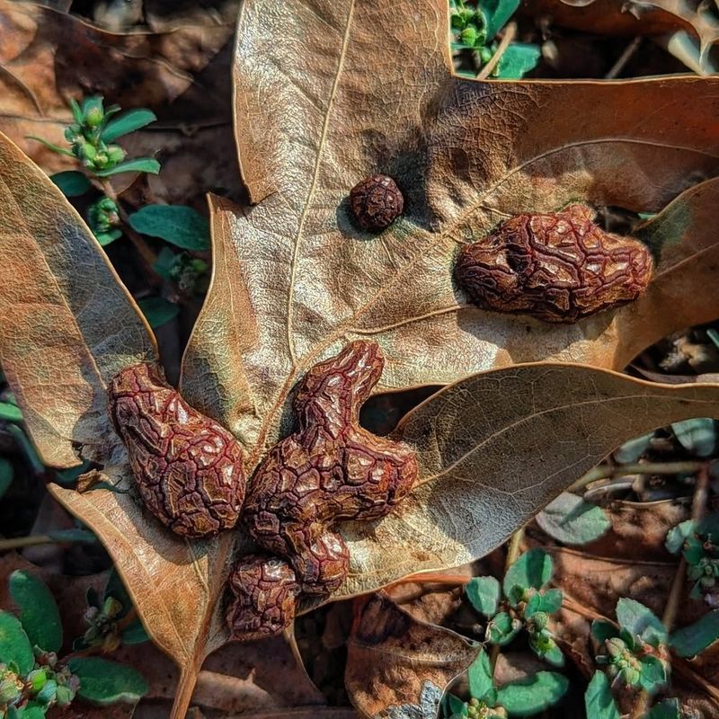 The Natural Process Behind These Unusual Shapes