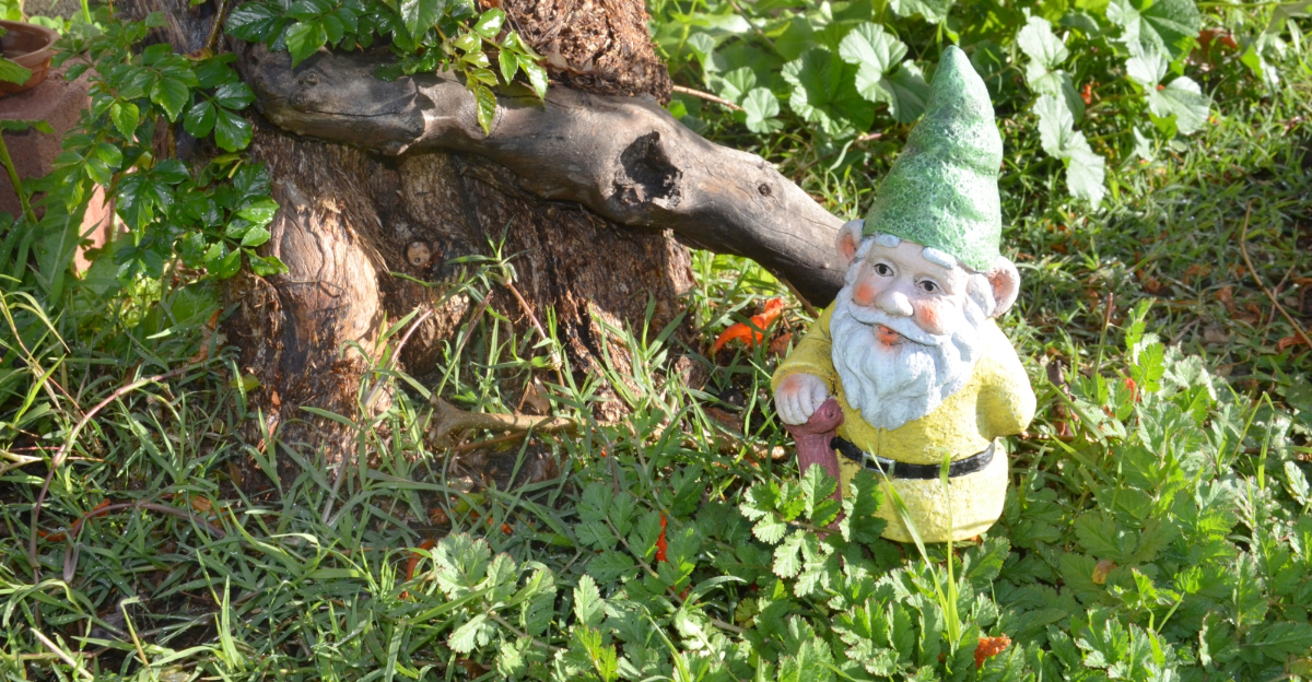 garden decor (featured image)