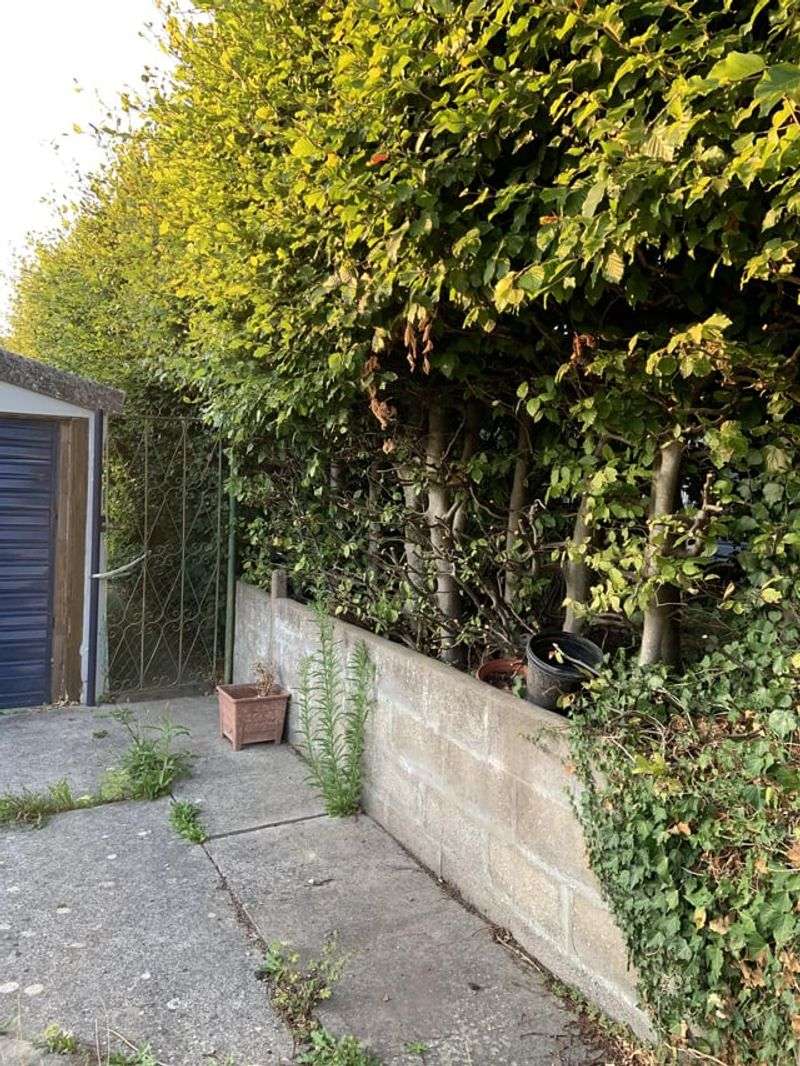 Why A Hedge Located Entirely On Another Property Cannot Be Removed