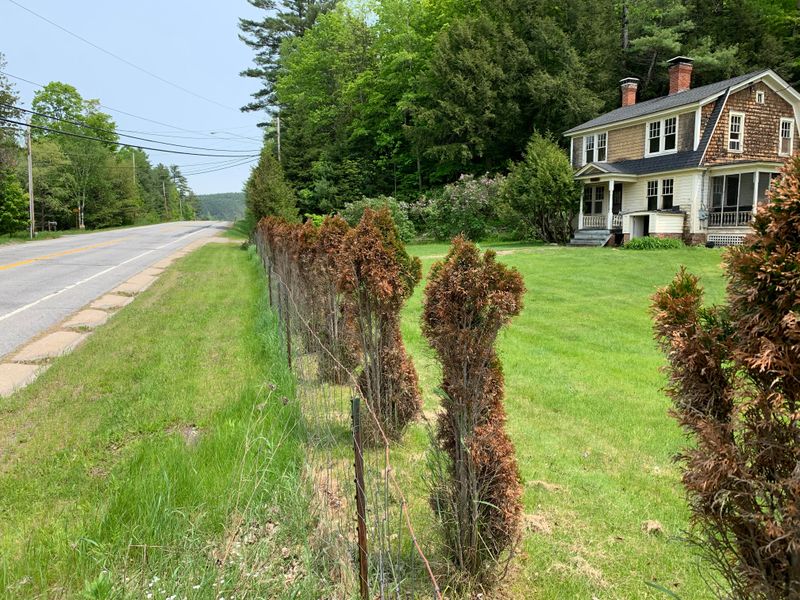 How Salt Moves From Roads Into Yards
