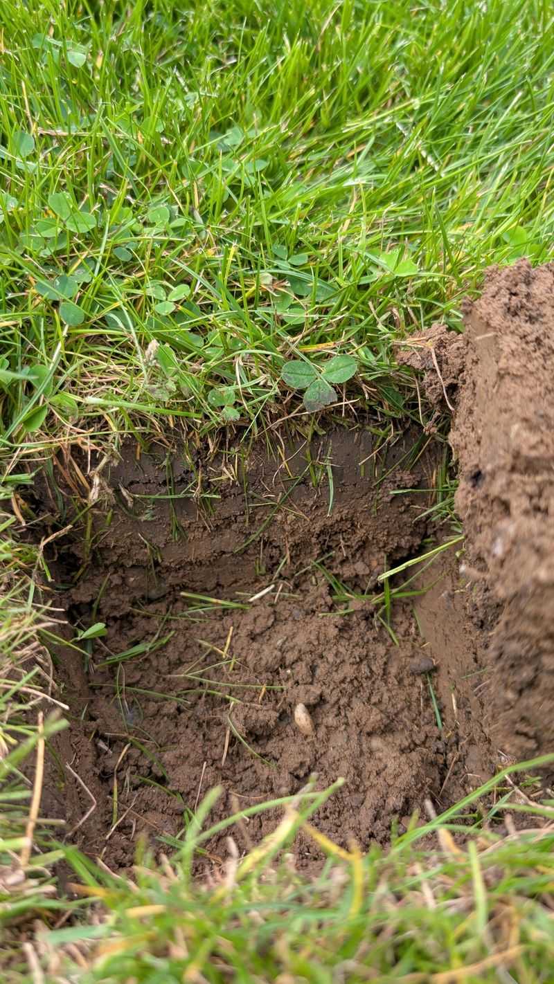 What Slows Down Recovery