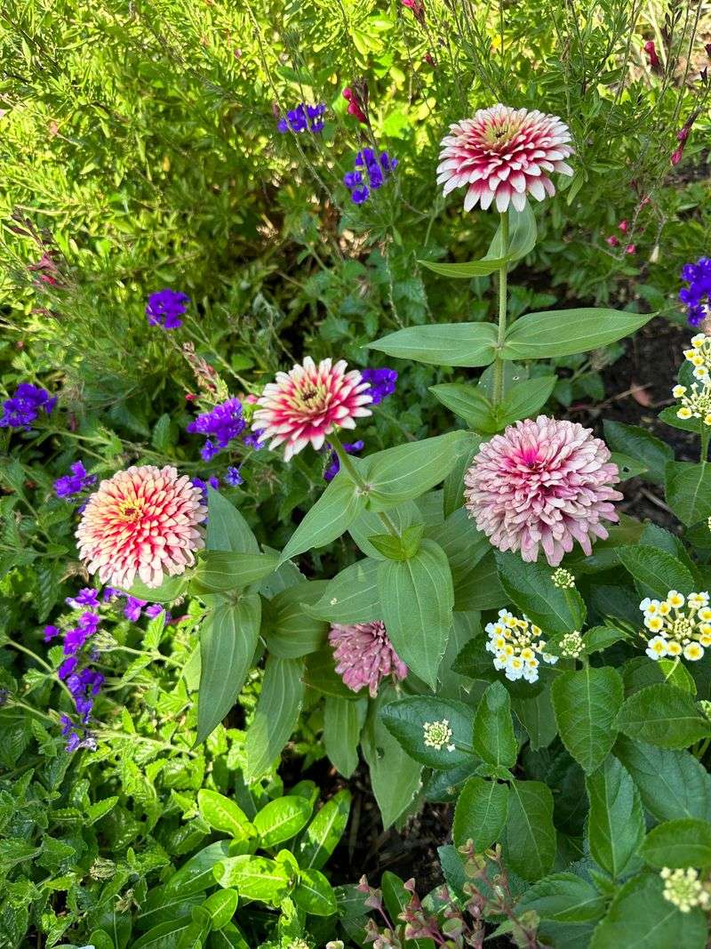 How Much Time This Saves Once Spring Growth Starts