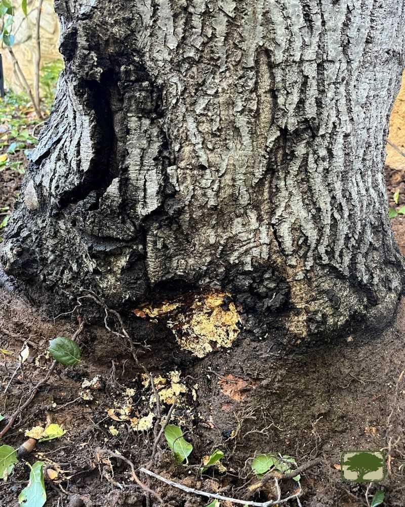 Why Rot Is Often The Wrong Assumption