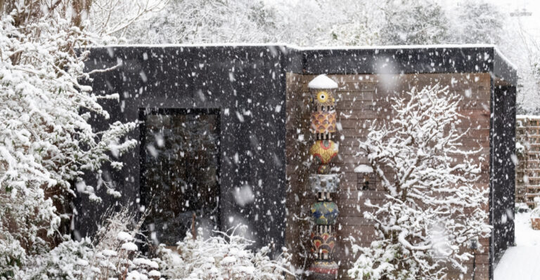 storm in the garden (featured image)